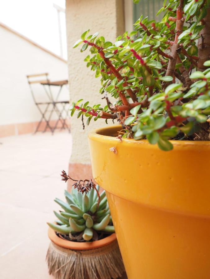 Apartaments La Rambla - Espero De Bolos - 4 Pers 科尔努德利亚 外观 照片